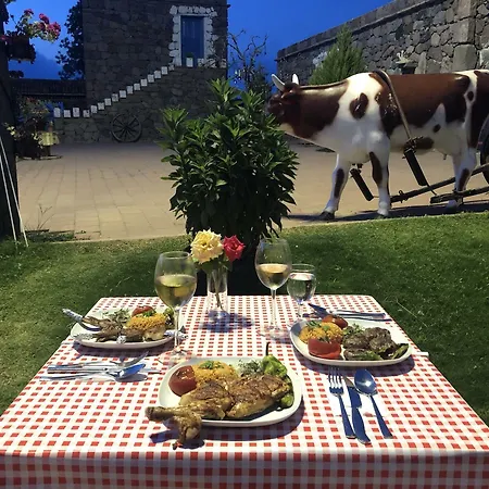 Obasya Kirsal Tesisi 2* Citak