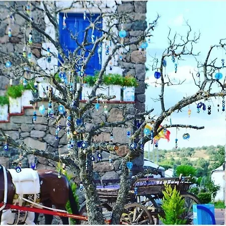 Obasya Kirsal Tesisi Hotel Citak