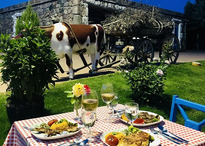 Obasya Kirsal Tesisi Hotel Citak